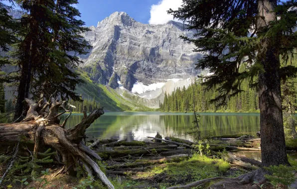 Trees, landscape, mountains, lake, Canada, Albert, district Kananaskis, Rawson Lake