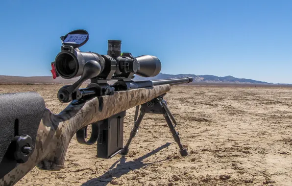 Weapons, rifle, sniper, Savage 10, FCP SR