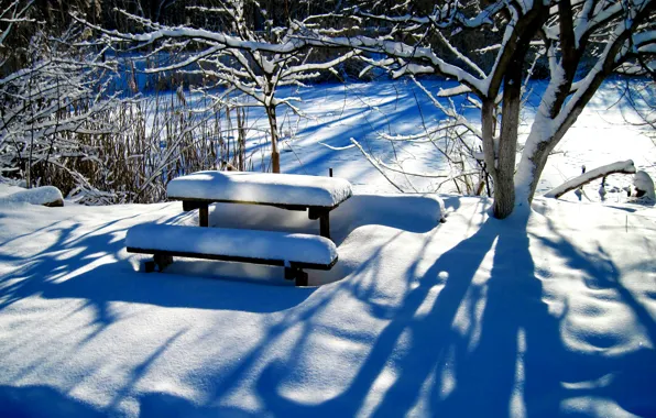 Picture winter, snow, trees, table, yard, bench