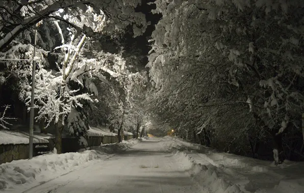 Picture Winter, Road, Night, Snow, Frost, Winter, Frost, Night