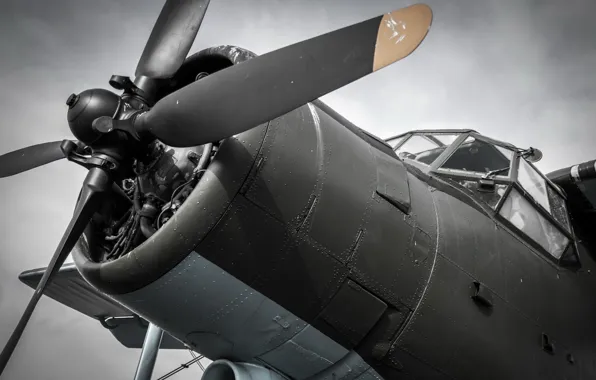 Aviation, Biplane, Antonov An2