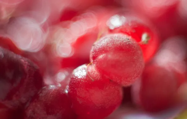 Picture food, berry, vkusnota