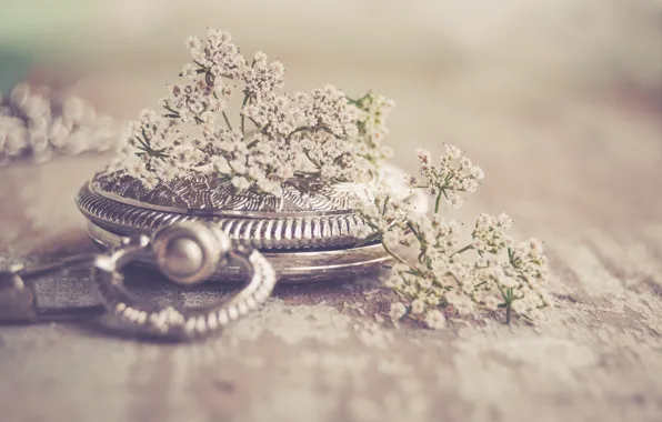 Background, watch, wildflowers