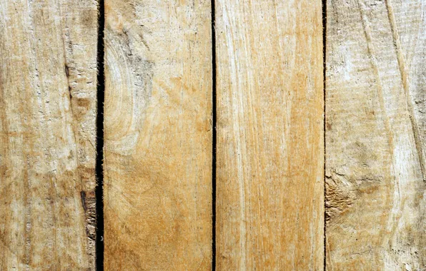 Table, Board, structure