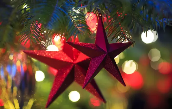 Stars, lights, holiday, toys, tree