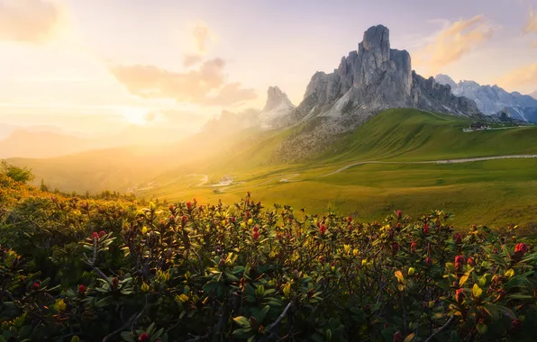 Summer, light, mountains, morning