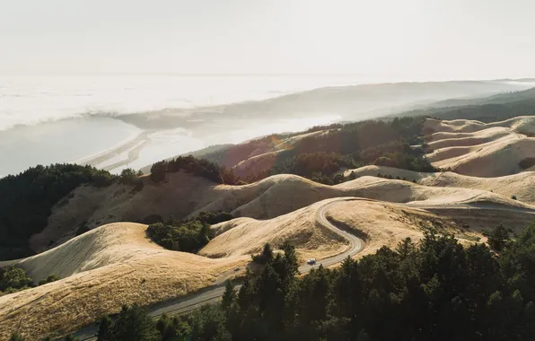 Road, angle, scenery, middle, shot, high, Deserted