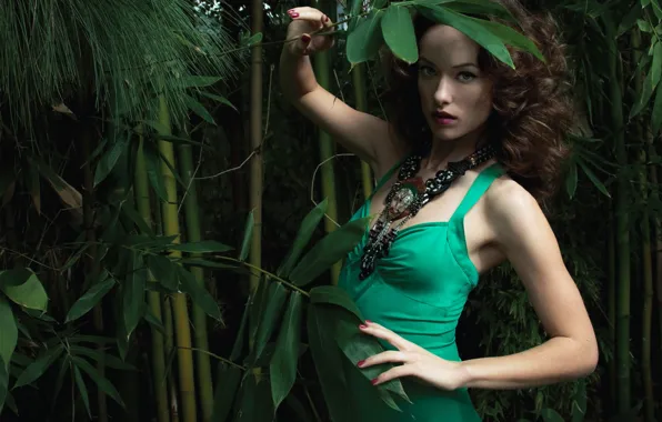 Girl, decoration, thickets, shadow, bamboo, dress, Olivia Wilde, Olivia Wilde