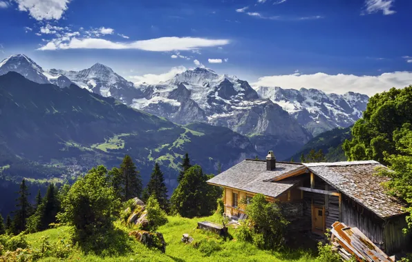 Grass, trees, mountains, stones, rocks, Switzerland, glacier, panorama