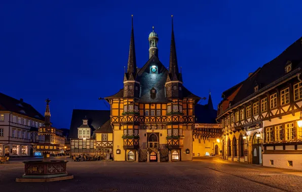 Building, home, Germany, area, fountain, night city, Germany, town hall