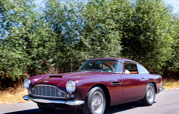Road, trees, Aston Martin, car, classic, rarity, 1958, DB4
