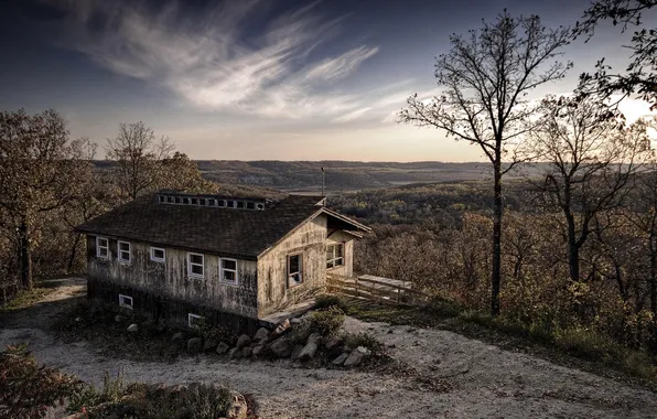 Picture forest, the sky, horizon, house