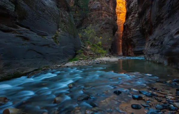 Picture river, stones, gorge, rock. nature