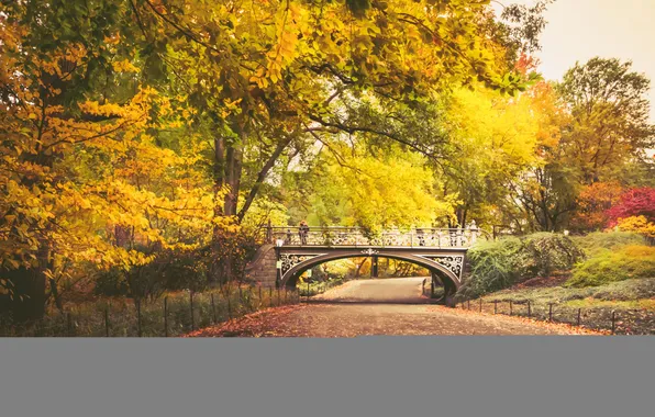 Autumn, leaves, trees, bridge, Park, the way, people, the fence