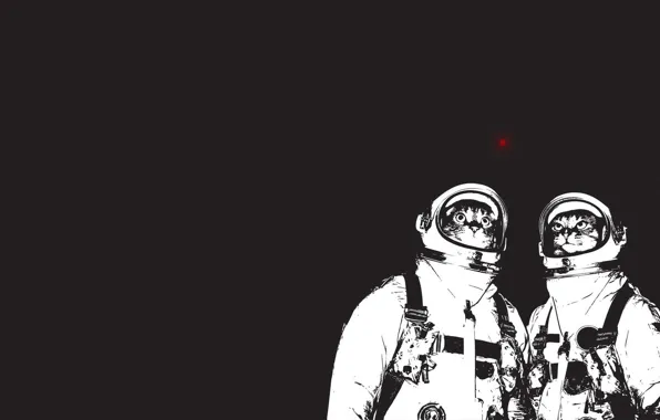 Minimalism, cat. astronauts