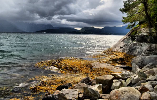 Sea, clouds, stones, coast, Norway, The hardangerfjord