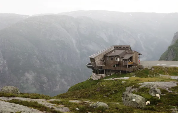 Mountains, sheep, structure, NORWAY, boulder