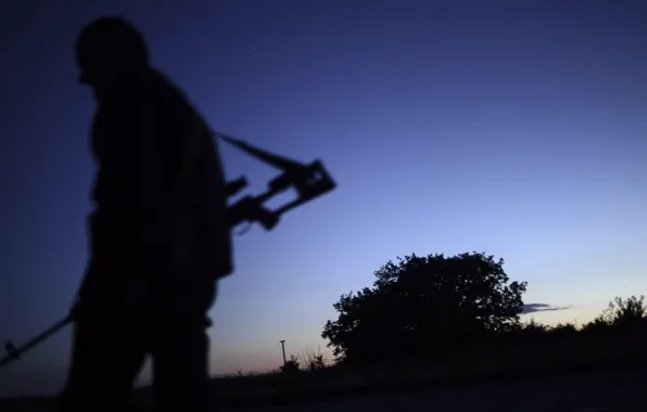 The sky, Field, Weapons, Sky, Rifle, Sniper, Rifle, Weapon