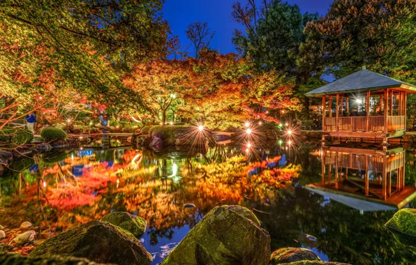 Trees, lights, pond, Park, reflection, Japan, Tokyo, Tokyo