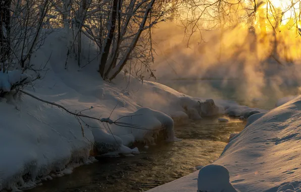 Picture winter, rays, light, snow, trees, landscape, nature, stream