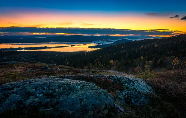 Picture autumn, forest, the sky, clouds, lake, horizon, Sweden, Sweden