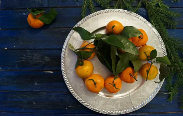 New year, citrus, wood, tray, tangerines, Christmas tree branch