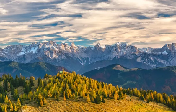 Forest, the sky, clouds, trees, mountains, Switzerland, Alps, Switzerland
