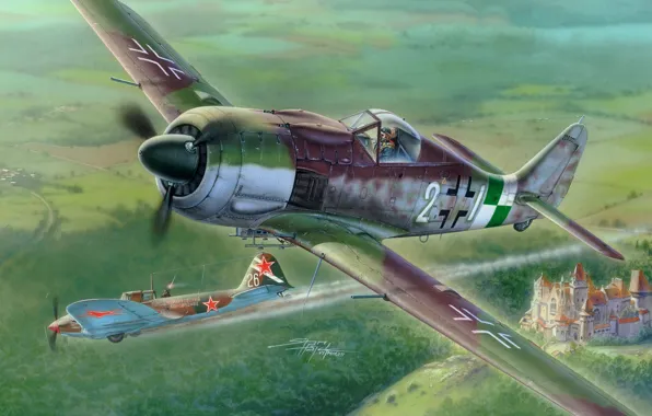 Germany, fighter, the Wehrmacht, Luftwaffe, Dogfight, Stanislav Hayek, Focke-Wulf Fw 190A-9