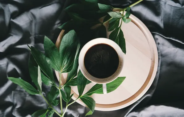 Leaves, coffee, petals, Cup
