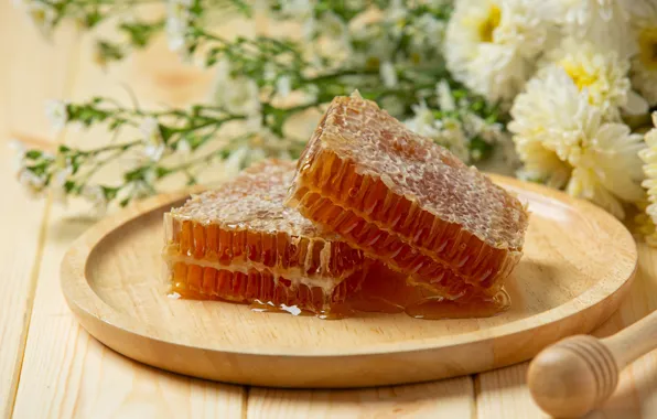 Flowers, table, Board, bouquet, cell, honey, white, honey
