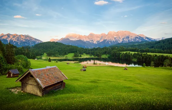 Greens, field, forest, summer, grass, clouds, flowers, mountains