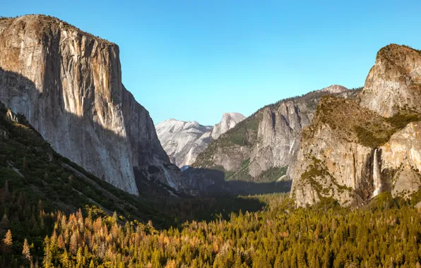 Forest, the sky, landscape, mountains, nature, rocks