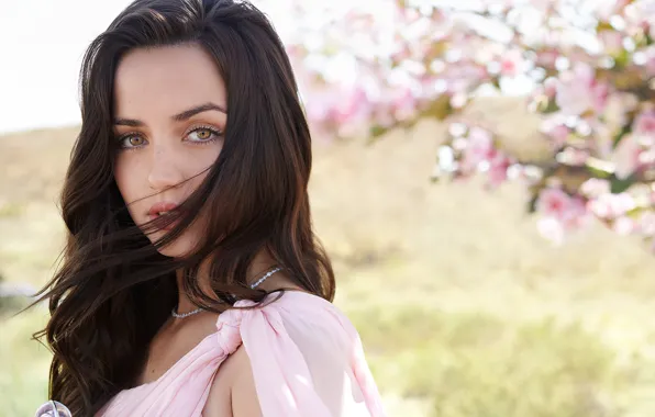Picture look, girl, nature, hair, brunette, beauty, flowering, Ana de Armas