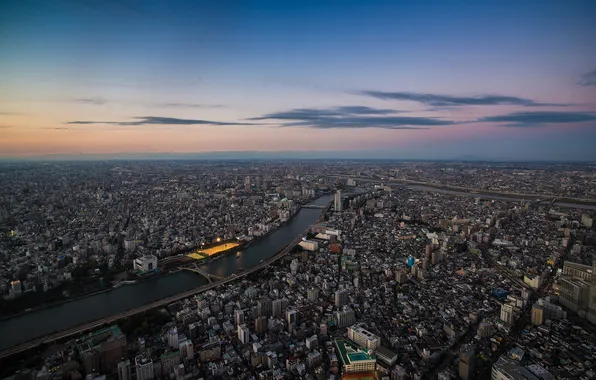 The city, river, view, building, Tokyo, River, Sumida