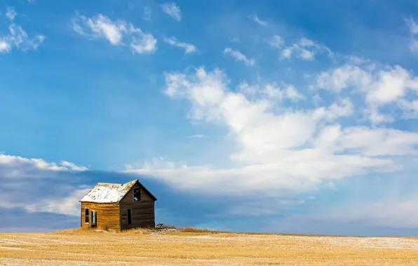 Field, landscape, home