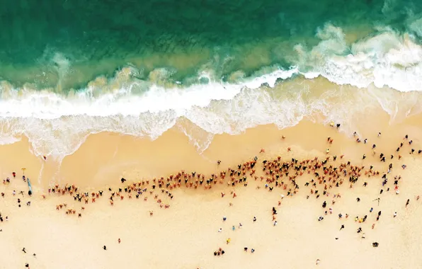 Sea, beach, shore, Australia, Sydney, swimmers, Bondi Beach