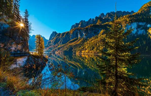 Autumn, trees, mountains, lake, reflection, spruce, Austria, Alps