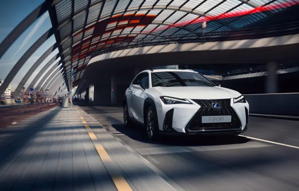 Lexus, 2018, crossover, Lexus UX, F SPORT, 250h