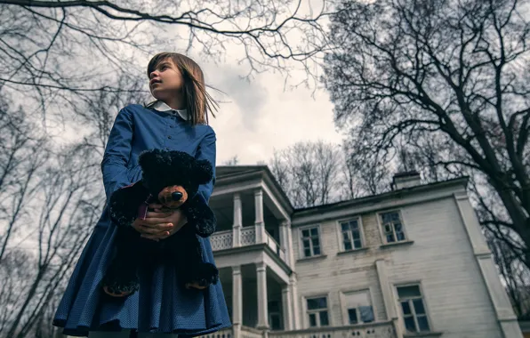House, bear, girl, Maxim Guselnikov, The Amityville Horror