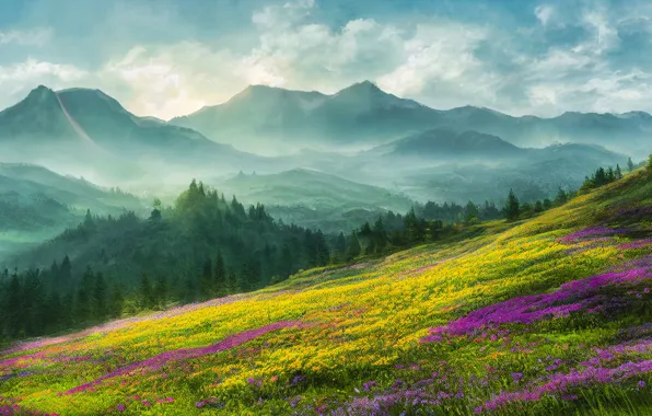 Field, forest, summer, the sky, clouds, landscape, flowers, mountains