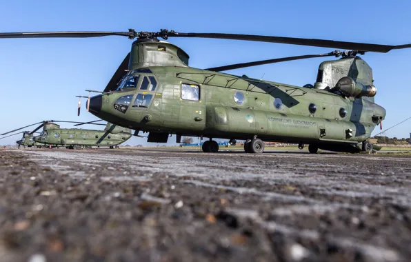 Picture CH-47 Chinook, Chinook, Royal Netherlands Air Force, Netherlands air force, Boeing CH-47D Chinook