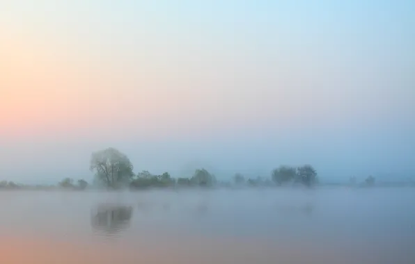 Picture the sky, water, trees, fog, river, morning