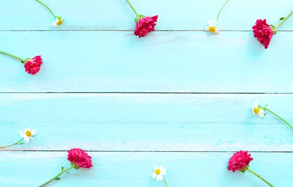Flowers, pink, wood, pink, flowers, spring