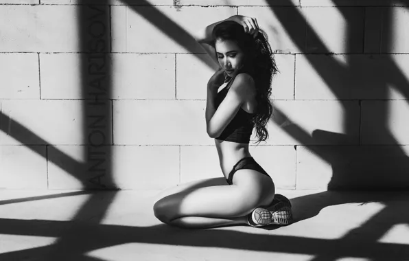Pose, model, panties, makeup, figure, hairstyle, black and white, t-shirt