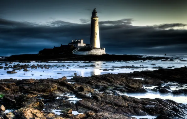 Sea, landscape, night, lighthouse