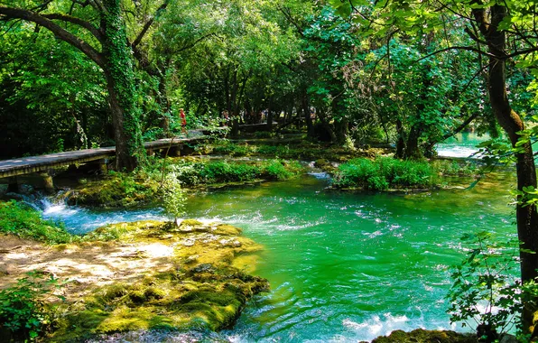Nature, Park, river, photo, Croatia, Krka
