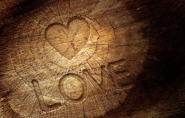 Picture love, cracked, letters, tree, the inscription, heart, texture