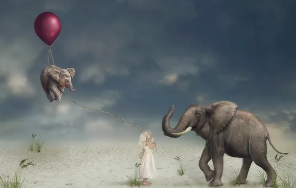 Picture ball, girl, elephants