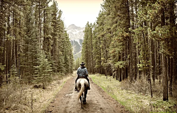 Picture road, forest, mountains, rider