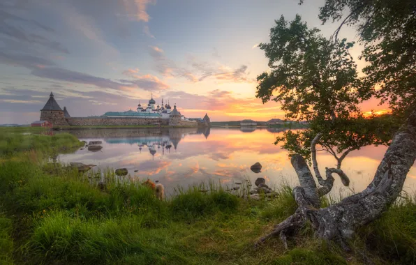 Picture morning, Ed Gordeev, nature, Eduard Gordeev, Karelia, Solovki, Solovetsky monastery, landscape